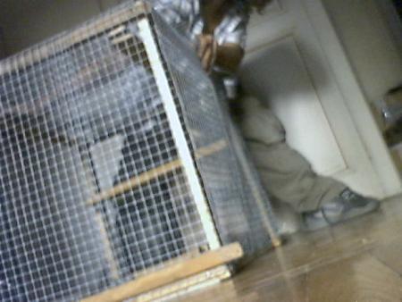 voila ma cage pour rats...IMMENSSE